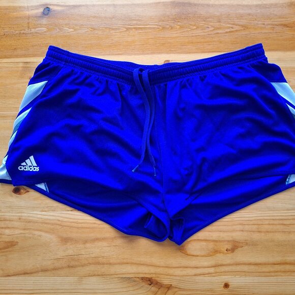 adidas Other - Adidas Climalite Royal Blue Shorts